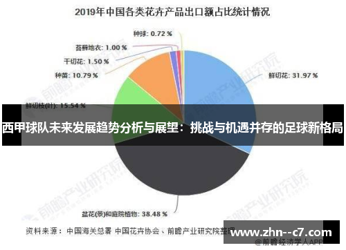 西甲球队未来发展趋势分析与展望：挑战与机遇并存的足球新格局