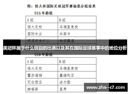 美冠杯属于什么级别的比赛以及其在国际足球赛事中的地位分析
