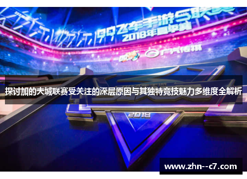 探讨加的夫城联赛受关注的深层原因与其独特竞技魅力多维度全解析