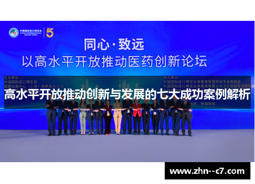 高水平开放推动创新与发展的七大成功案例解析