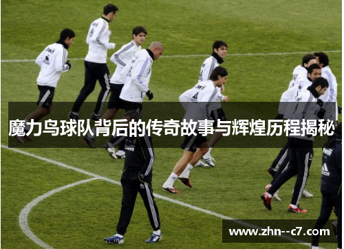 魔力鸟球队背后的传奇故事与辉煌历程揭秘